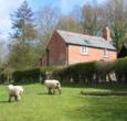 A delightful two-bedroom cottage in a wonderful rural setting.