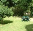 secluded garden with many trees and birdsong