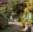The courtyard.