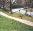 Lovely views from the bedrooms