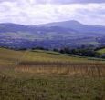 Explore the The Wye Valley at Glanhenwye