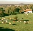 Enjoy walks throught the countrysiude, fly fishing on our lake, croquet on the lawn, a barbecue with friends