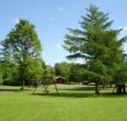 Children love Pinecroft's spacious site.