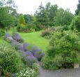 holidays in Somerset with charming garden to relax in