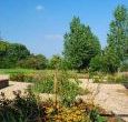 Enjoy this beautifully designed and maintained garden on your Norfolk cottage holiday