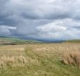 Lots of walks in Stanhope and surrounding area