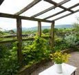cottage with a beautiful garden