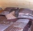 Log Cabin Speyside Moray Scotland