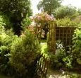 Comfortable 2 bedroom cottage in Redgrave Suffolk with a lovely back garden