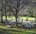 Lovely country cottage for couples exploring Ireland