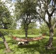 Beautiful orchard peachful gardens