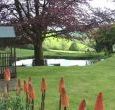 Pet-friendly cottages on Exmoor, Somerset