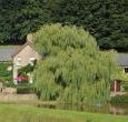 Luxury cottages in  Devon