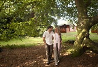 Sandybrook Country Park  - Ashbourne,  
