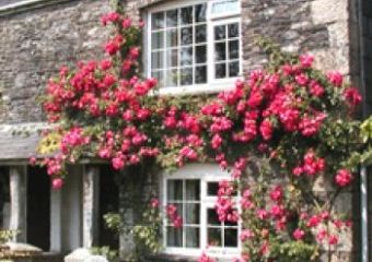Tremaine Green Country Cottages  - Looe,  