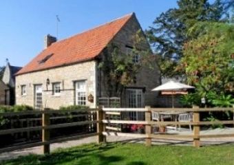 The Barn Dogs-welcome Cottage, Glinton, East Anglia   - Glinton,  