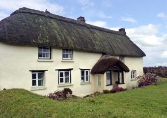 Gorrans Down Cottage Dogs-welcome Cottage, Hartland, South West England   - Hartland,  