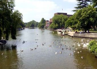 The Studio Dogs-welcome Cottage, Stratford-Upon-Avon, Cotswolds   - Stratford upon Avon,  
