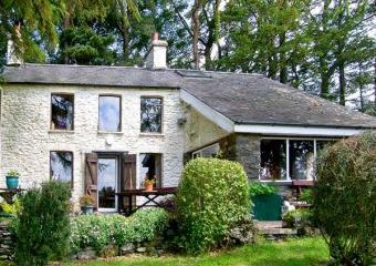 Froneithinog Dogs-welcome Cottage, Ysbyty Ystwyth, Mid Wales   - Ysbyty Ystwyth,  