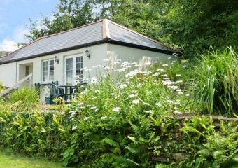 Mouse Family Cottage, Gunnislake Near Dartmoor, South West England   - Gunnislake Near Dartmoor,  
