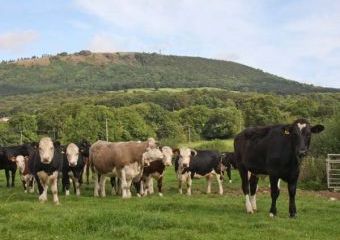 The Byre Countryside Cottage, Heart Of England   - Leighton,  