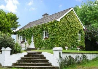 Evergreen Cottage Dogs-welcome Cottage, Cahir, East Ireland   - Cahir,  