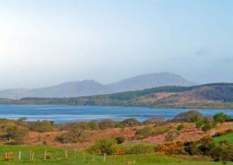 Carreg Yr Ogof Dogs-welcome Cottage, Trawsfynydd, North Wales   - Trawsfynydd,  