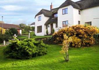 Shells Dogs-welcome Cottage, South West England   - Lower Washford,  