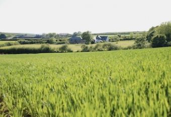 Talehay Cottages  - Looe,  