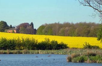 Old Barn Cottages  - Great Sturton,  