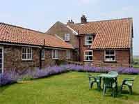 Sparrow Hall Cottages  - York,  