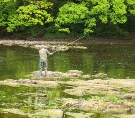 The Cidermill at Boatside  - Builth Wells,  