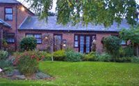 Beech Tree  - Sewerby,  
