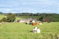 Lower Damgate Farm Cottages  - Dovedale,  