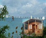 The Beach Retreat  - Cowes,  