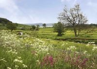 Burnfoot Holiday Cottages  - Rothbury,  