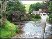 Lorna Doone Farm  - LYNTON,  