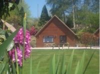 Alpine Park Cottages  - Exeter,  