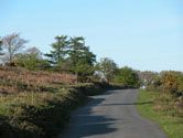 Fernhill Cottage  - Ponsworthy,  