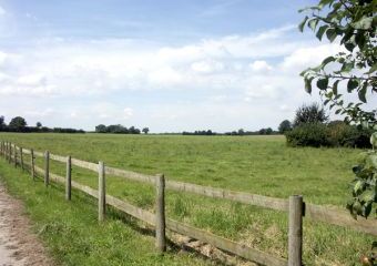 Oxen Cottage Dogs-welcome Cottage, Upper Seagry, Cotswolds   - Upper Seagry,  