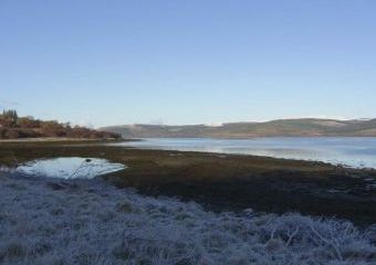 Starfish Dogs-welcome Cottage, Central Scotland   - Salen,  