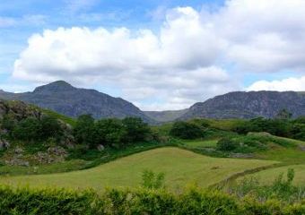Gardener's Cottage Dogs-welcome Cottage, Manod, North Wales   - Manod,  