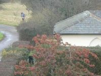 Rookery Lodge  - Colchester,  