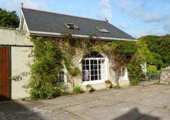 The Granary Dogs-welcome Cottage, Cahir, East Ireland   - Cahir,  