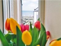 Ellie-Ann Dogs-welcome Cottage  - Gardenstown,  
