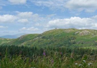 Bleng Barn Dogs-welcome Cottage, Gosforth, Cumbria & The Lake District   - Gosforth,  
