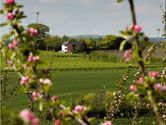 Field Cottage  - Lyonshall,  