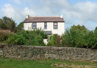 Ivy Dogs-welcome Cottage, Ruardean Hill, Cotswolds   - Ruardean Hill,  