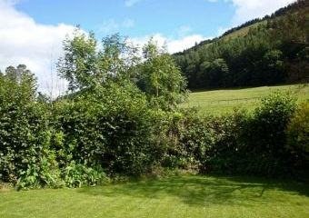 Dafarn Newydd Countryside Cottage, Dinas Mawddwy, North Wales   - Dinas Mawddwy,  
