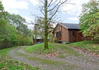 Borrowdale Dogs-welcome Cottage, Kendal, Cumbria & The Lake District   - Kendal,  